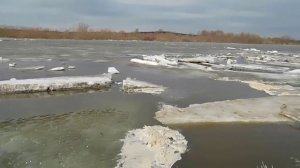 Вода прёт! Лёд вот-вот уйдёт! Ситуация перед ледоходом на реке Суре 20 марта 2023 года!