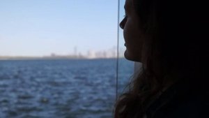 Отдых в Дубае. Как я ездила смотреть розовых фламинго в Дубае. Заповедник Рас-аль-Хор