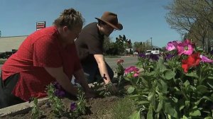 Dale Boss and the Petunia's of Charlevoix