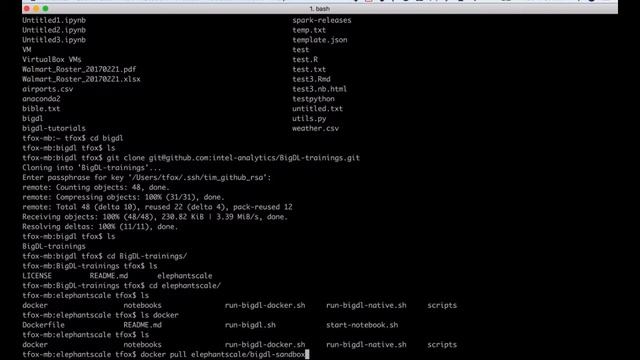 1 - BigDL Introduction - Getting Started смотреть онлайн