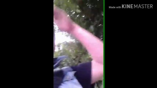 Как снять стресс перед работой. Ночь в лесу. смотреть онлайн