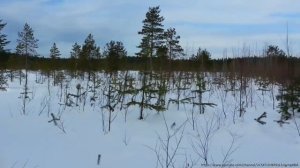 Озеро Половинное