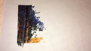 Новый процесс/обзор/подготовка/dimensions Северная Ночь