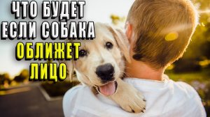 Что будет если собака оближет лицо человека?