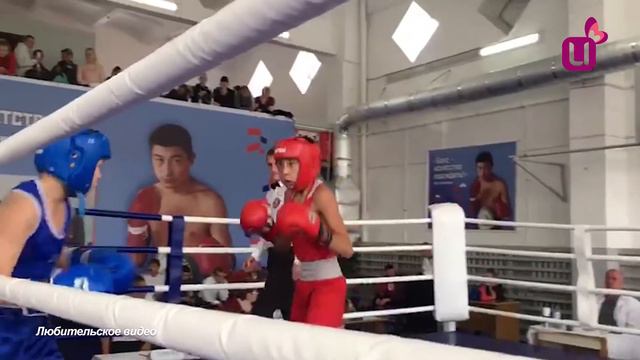 Лучший борец года. Спортобзор смотреть онлайн