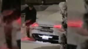 Литвиненко "Людское"