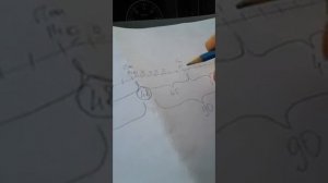 Режим труда и отдыха для водителей по тахографу