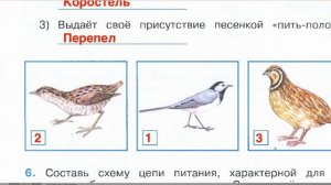 Страница 72 Рабочая тетрадь по окружающему миру за 4 класс 1 часть Плешаков Школа России