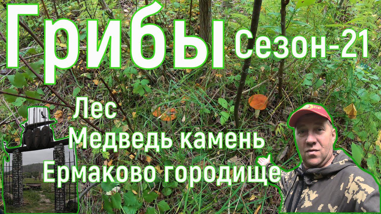 Лес, грибы, Медведь камень и Ермаково городище, наш ПВД от 10.08.2021 год.