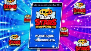 🤬СПАСИБО РАНДОМЫ! ПРОЩАЙ ЧЕМПИОНАТ МИРА | Super-Cat Brawl Stars