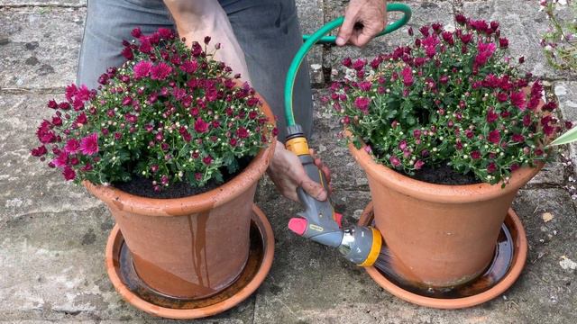 AUTUMN GARDEN ACTION PLAN – Part 1: Flower Garden смотреть онлайн