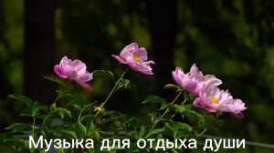 ,,ДЕНЬ И НОЧЬ,, Музыка Сергей Грищук ,,ТАНГО СЕРДЕЦ,, Музыка Сергей Грищук #музыка