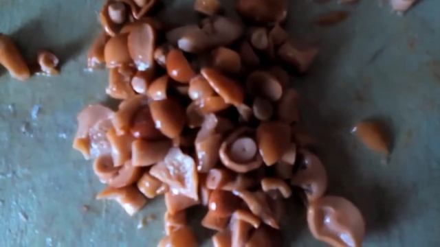 Как готовить простую пиццу