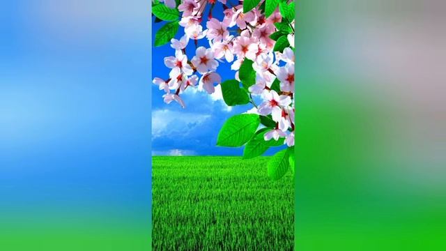 День весеннего равноденствия - 21 марта 2023. История и обычаи праздника. Что делать в этот день? смотреть онлайн