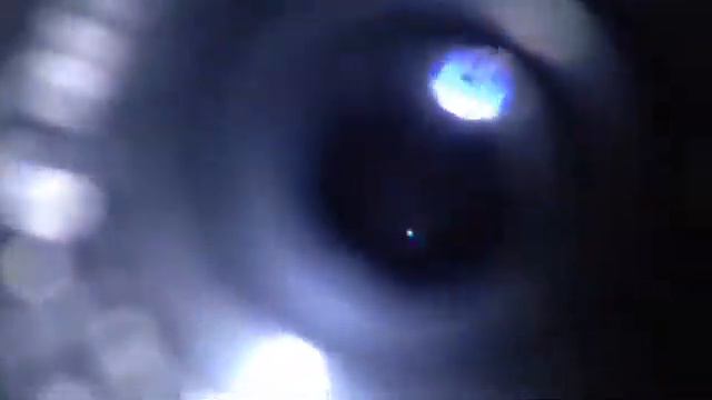 Canopus throught telescope celestron 50az смотреть онлайн