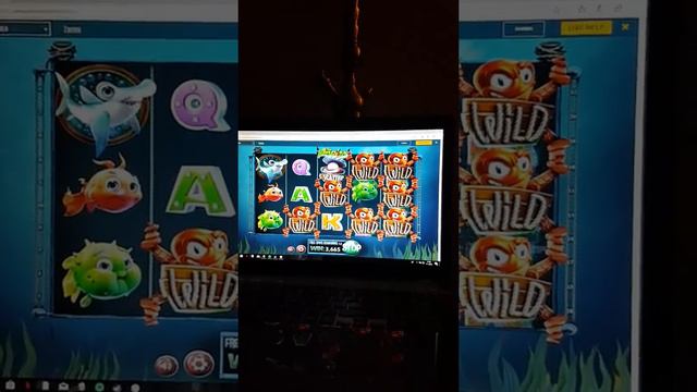 700x win on €10 bet on slot angler 5x retrigger смотреть онлайн