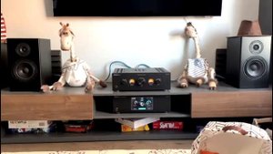 Flying Lemon Audio System X - супер цена!