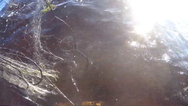 Снимаю сетки,а там Сигов!Рыбалка на Белом море! смотреть онлайн