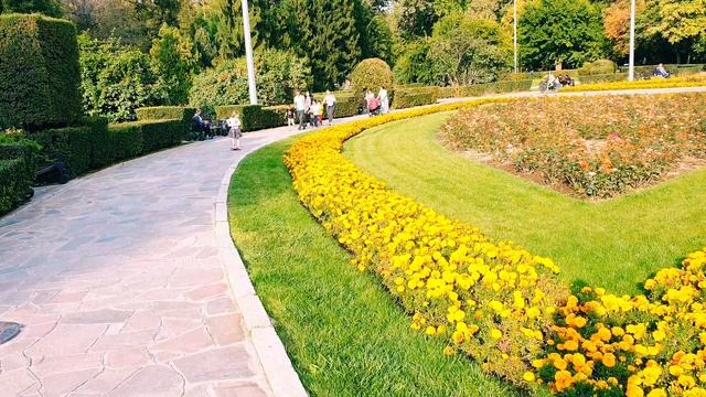 Центральный парк Культуры и Отдыха имени Горького смотреть онлайн