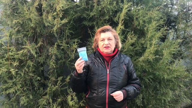 Два закона обработки Хвойных !!! смотреть онлайн