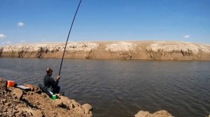 Рыбалка на сазана методом херабуна/Herabuna Carp fishing