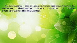 Значение леса в природе и жизни человека