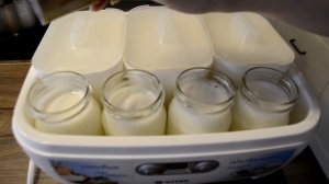 как сделать творог, йогурт и кефир в домашних условиях