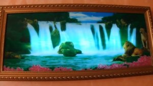 Цвето-музыкальная картина  Водопад и львы