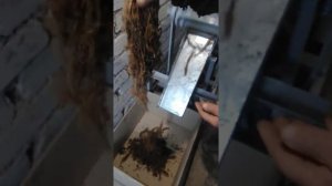 моя гильотина для резки табака