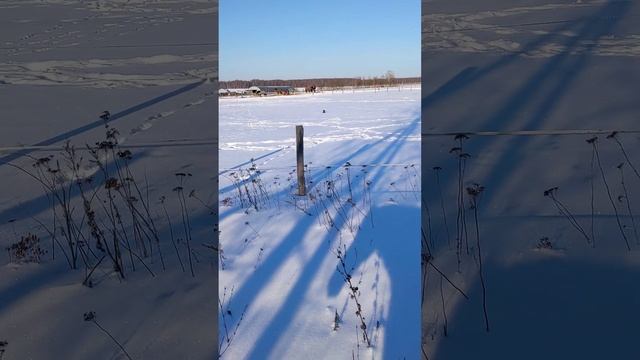 Мы нашли портал через ботинок. И главное следов вокруг нет.   ?