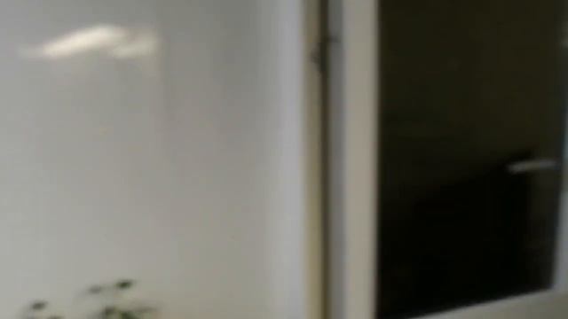 #Радость #на лоджии расцвела розочка Голд Эльз # смотреть онлайн