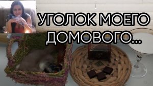 УГОЛОК МОЕГО ДОМОВОГО...