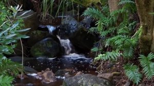 Звуки природы для концентрации музыка для концентрации