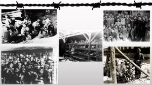 узники концлагерей