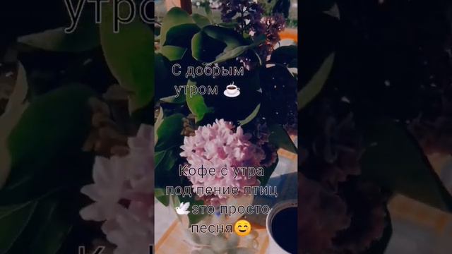 Кофе☕ и пение птиц🕊это просто песня☺