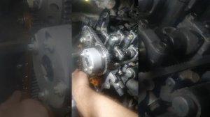 Порядок установки цепи на двигатель автомобиля Haima M3