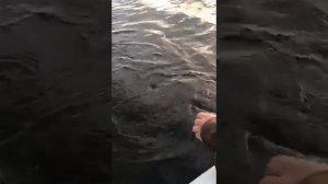 Рыбалка на верхней Волге (Кимры)