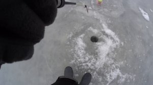 Первый лёд. Рыбалка на судака в Саратове.Ловля судака на Волге. Рыбалка 2022-2023