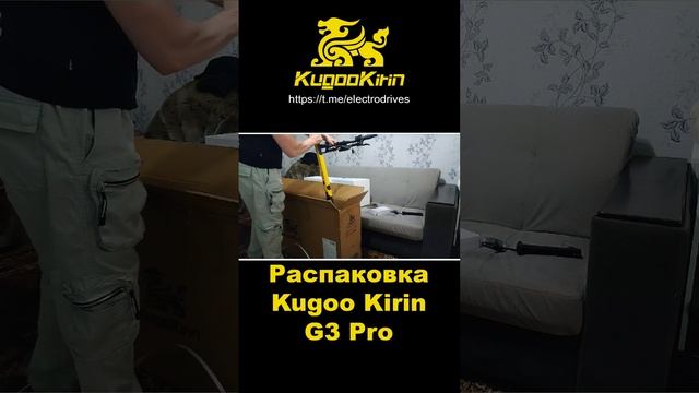 Распаковка Kugoo Kirin G3 Pro от Админа! #kugoo #g3pro #нягань #m4pro #m5