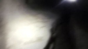 Dyatlov Pass, last day