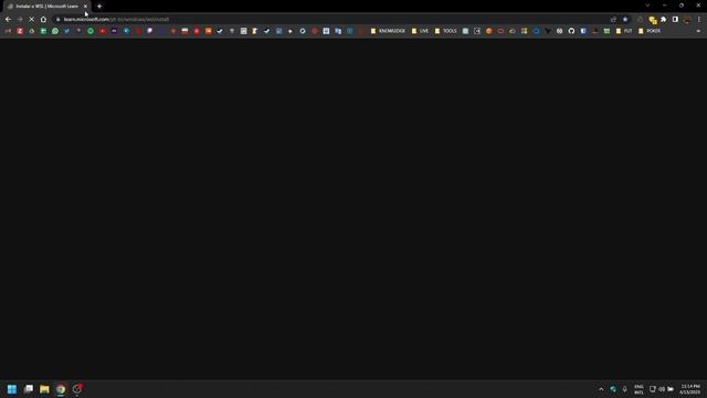 Setup Inicial parte 1 - Windows + WSL2 + Docker Desktop смотреть онлайн