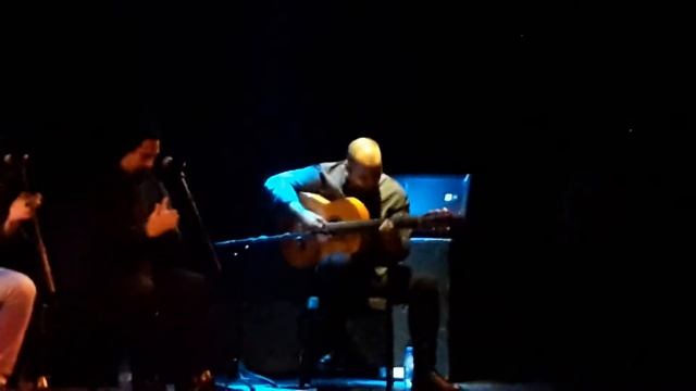 Amazing live concert with guitar solo смотреть онлайн