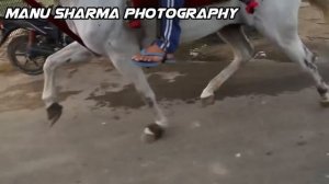 Land Rover Defender 110 Broke All Record Of NCAP Crash Test | Aristo News #5