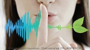 Холодильник SAMSUNG RL48RRCIH