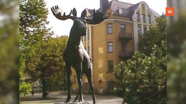 Ретроспектива-2014: юбилей выборгского Лося