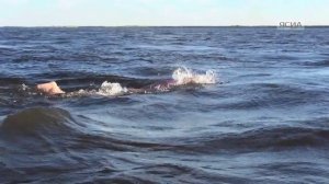 В честь Дня реки Лены якутяне совершили заплыв на 5 км