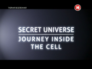 Тайная вселенная. Путешествие внутрь клетки