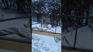 Как согнуть профильную трубу без трубогиба. Навес для парковки. 2