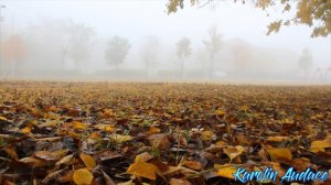 Осенний Дождь.Дождь осенний. | Авторские стихи Каролин Одас