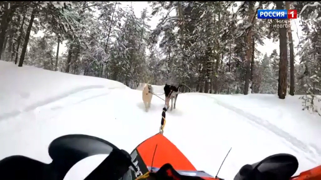 Всероссийские зимние гонки на собачьих упряжках прошли в селе Решетиха